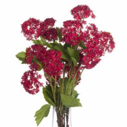 Lemon Pavilion Furniture and Decor Autumnal Viburnum Artificial Flower, Plastic, L18 x W27 x H63 cm, Red - thumbnail 4