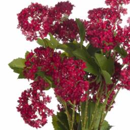 Lemon Pavilion Furniture and Decor Autumnal Viburnum Artificial Flower, Plastic, L18 x W27 x H63 cm, Red - thumbnail 5