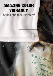 Harry Potter Owl Poster Officially Licensed Silky Touch Super Soft Throw Blanket 152x127 cm in White - thumbnail 4