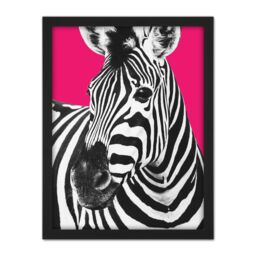 "Artery8 Wall Art Print Close up Beasties Zebra Large Large Framed Wall Décor Art in Black - Size: W18"" x H24""" - thumbnail 1