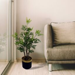 Pegdev 60cm Artificial Nandina Bonsai Ficus Tree Potted Indoor Plant in Green - thumbnail 3