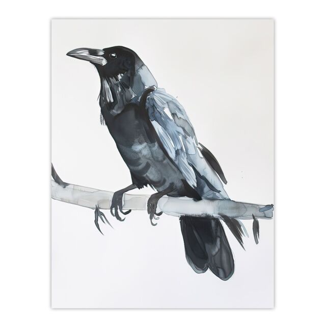 "Artery8 Raven Bird on Tree Branch Bright Watercolour Wall Art Print in Black - Size: W24"" x H32""" - image 1