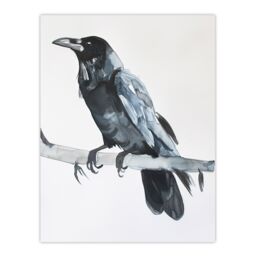 "Artery8 Raven Bird on Tree Branch Bright Watercolour Wall Art Print in Black - Size: W24"" x H32""" - thumbnail 1