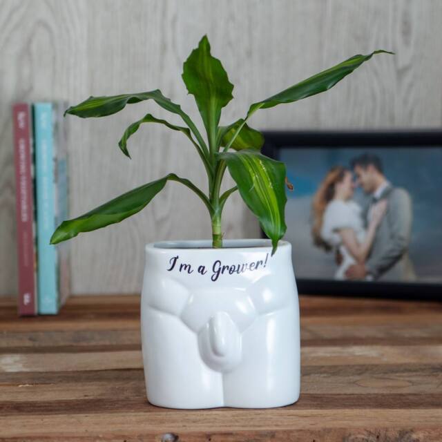 Boxer Gifts I'm A Grower' Novelty Indoor Planter in White - image 1