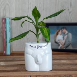 Boxer Gifts I'm A Grower' Novelty Indoor Planter in White - thumbnail 1