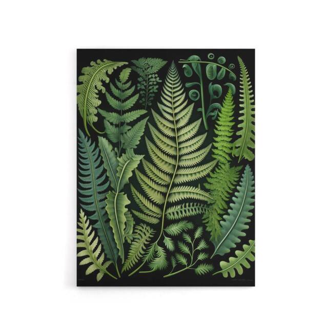 "Artery8 Ernst Haeckel Inspired Fern Leaf Fronds Canvas Wall Art Print in Green - Size: W18"" x H24""" - image 1
