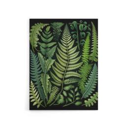"Artery8 Ernst Haeckel Inspired Fern Leaf Fronds Canvas Wall Art Print in Green - Size: W18"" x H24""" - thumbnail 1