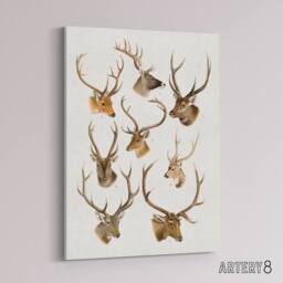 "Artery8 Vintage Illustration of Deer Species Lydekker Canvas Wall Art in White - Size: W18"" x H24""" - thumbnail 2
