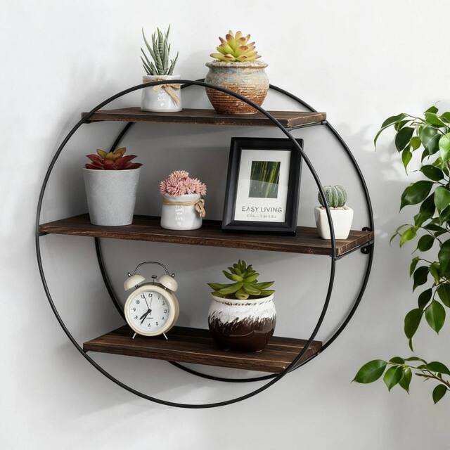 FORGEVIO Circular Floating Shelves, Wall Mount Storage Rack for Home Office in Black - image 1