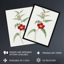 "Artery8 Pomegranate Flower Japan Wall Art Print Vintage Japanese Floral in Green - Size: W12"" x H16""" - thumbnail 2