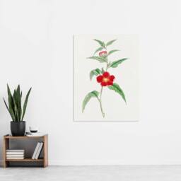 "Artery8 Pomegranate Flower Japan Wall Art Print Vintage Japanese Floral in Green - Size: W12"" x H16""" - thumbnail 4