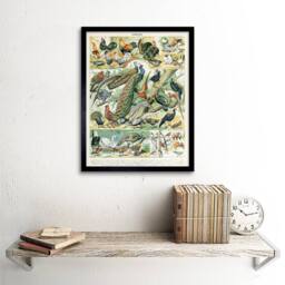 "Artery8 Millot Encyclopedia Page Birds Peacock Chicken 12x16"" Framed Art Print - Size: W12"" x H16""" - thumbnail 2