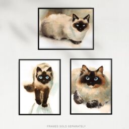 Artery8 Wall Art Print Blue Eyed Ragdoll Cats Watercolour Set Of 3 s Living Room Aesthetic Paintings A4 - thumbnail 5