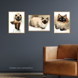 Artery8 Wall Art Print Blue Eyed Ragdoll Cats Watercolour Set Of 3 s Living Room Aesthetic Paintings A4 - thumbnail 2