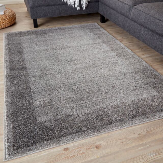 THE RUGS Efes Collection Modern Living Room Rug Bordered in Grey 7437G - Size: 120 cm x 170 cm - image 1