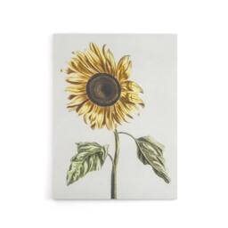 "Artery8 Sunflower Vintage Flower Painting Teyler Canvas Wall Art in White - Size: W18"" x H24""" - thumbnail 1