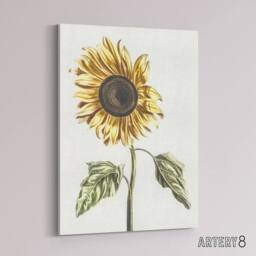 "Artery8 Sunflower Vintage Flower Painting Teyler Canvas Wall Art in White - Size: W18"" x H24""" - thumbnail 2