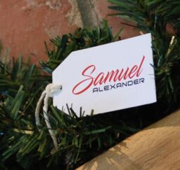 Samuel Alexander 270cm x 25cm Frosted Glacier Christmas Garland with Pine Cones in Green - Size: 270 cm x 25 cm - thumbnail 6