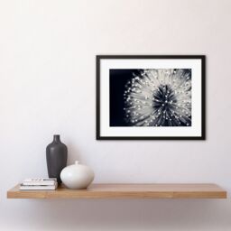 Artery8 Macro Photoghraph Plant Flower Pollen Black & White Beautiful Nature Close Up Picture Framed Wall Art Print Picture 12X16 inch - thumbnail 2