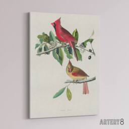 "Artery8 Cardinal Grosbeak Bird Audubon Nature Canvas Wall Art in White - Size: W18"" x H24""" - thumbnail 2
