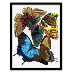 Artery8 Colourful Vintage Butterflies Vintage Framed Wall Art Print Eugene Seguy - Size: A4 - thumbnail 1