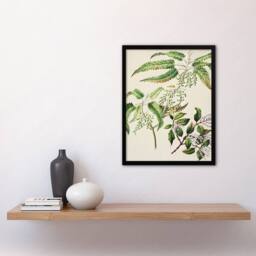 Artery8 Sarah Featon Framed Wall Art New Zealand Ongaonga Tree Nettle Plant in Beige - Size: A4 - thumbnail 2