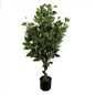 Leaf 110cm Artificial Evergreen Ficus Tree in Green - thumbnail 2