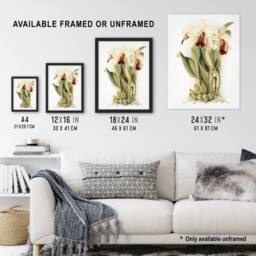 Artery8 Frederick Sander Cattleya Aurea Orchid Flowers Framed Wall Art Print in White - Size: A4 - thumbnail 3