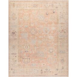 Livabliss Becki Owens Marlene-Vintage Pink Brown Traditional Boho Living Dining Rug - Size: 117 cm x 170 cm - thumbnail 2