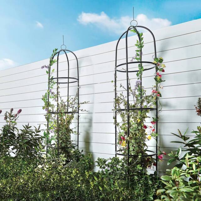 Gainsborough Set of 2 Steel Garden Obelisks For Climbing Plants in Black - image 1