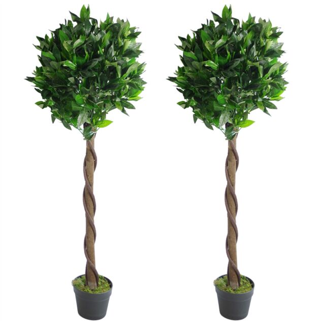 Leaf Pair of 120cm (4ft) Twisted Stem Artificial Topiary Bay Laurel Ball Trees in Green - image 1