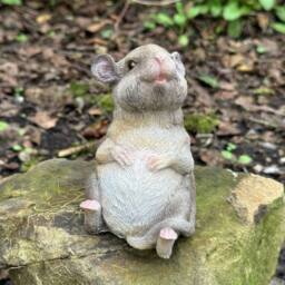 Animal Crackers Happy Mouse Fairy Garden Ornament, Rat Or Mouse Lover Collectable in Grey - thumbnail 4