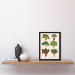 Artery8 Ernst Benary Beet & Swiss Chard Vintage Botanical Framed Art Print in White - Size: A4 - thumbnail 2