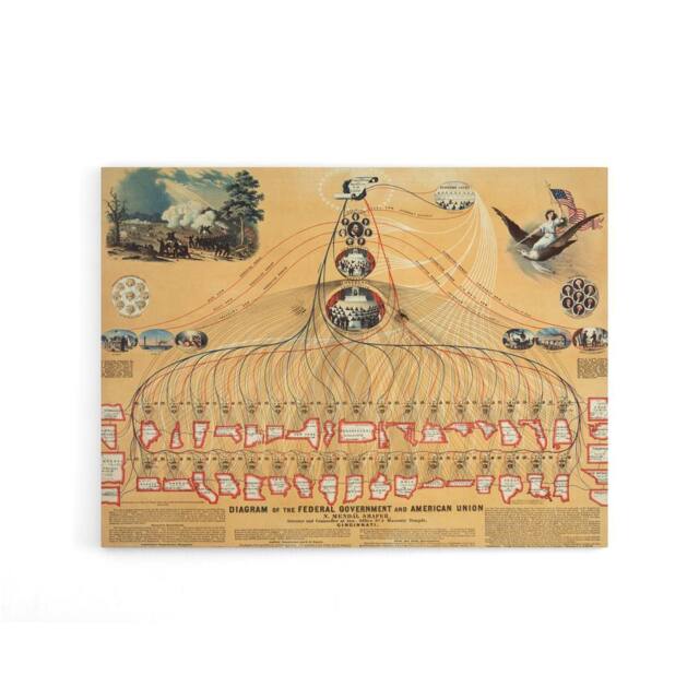 "Artery8 US Federal Government American Union Diagram Canvas Wall Art Print in Beige - Size: W18"" x H24""" - image 1