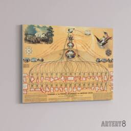 "Artery8 US Federal Government American Union Diagram Canvas Wall Art Print in Beige - Size: W18"" x H24""" - thumbnail 2