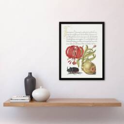 Artery8 Turks Cap Lily Fig & Beetle Calligraphy Framed Wall Art Print in White - Size: A4 - thumbnail 4