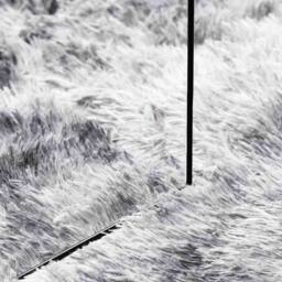 Berkfield Home Shaggy Rug High Pile NAVARRA Silver Grey 80x150 cm Polyester - Size: Medium - thumbnail 7