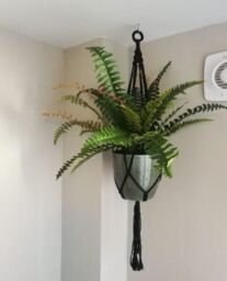 Leaf Large Artificial Fern Plant Pot 60cm Boston Fern Faux House Plants Botanik in Green - thumbnail 4