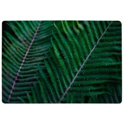 Benjamin Tate Design Green Leaves, Abstract Flora Texture Designer Rug in Natural - Size: Large - thumbnail 1