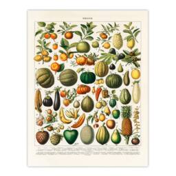 Artery8 Nouveau Larousse Illustre Framed Wall Art Print Fruits & Vegetables in Beige - Size: A4 - thumbnail 3