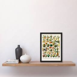 Artery8 Nouveau Larousse Illustre Framed Wall Art Print Fruits & Vegetables in Beige - Size: A4 - thumbnail 2