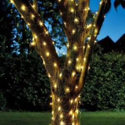 Smart Garden Products Outdoor Solar Powered Firefly Wire Lights 50 LEDs - Warm White - thumbnail 2