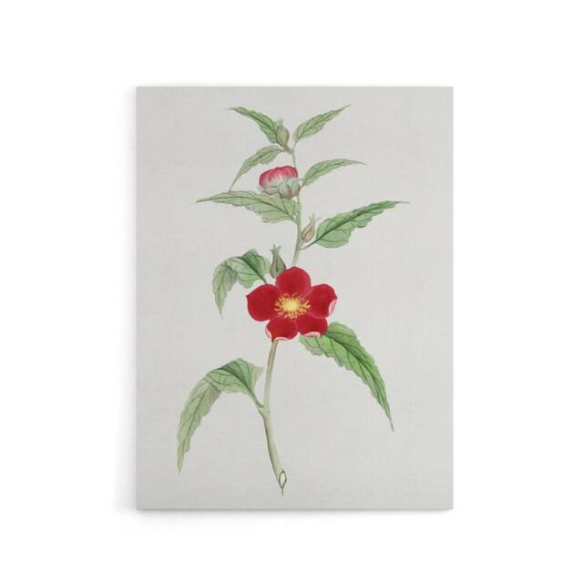 "Artery8 Pomegranate Flower Canvas Wall Art Print Vintage Japan Botanical in Green - Size: W18"" x H24""" - image 1