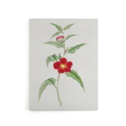 "Artery8 Pomegranate Flower Canvas Wall Art Print Vintage Japan Botanical in Green - Size: W18"" x H24""" - thumbnail 1