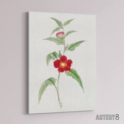 "Artery8 Pomegranate Flower Canvas Wall Art Print Vintage Japan Botanical in Green - Size: W18"" x H24""" - thumbnail 2