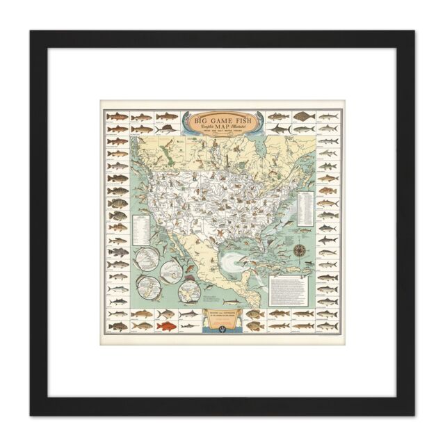 Artery8 Ertz 1936 Pictorial Map USA Game Fish Angling 8X8 Inch Square Wooden Framed Wall Art Print Picture with Mount in Black - image 1