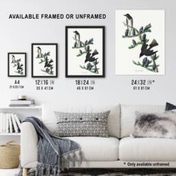 "Artery8 Olive Sided Flycatcher Bird on Fir Tree Audubon Wall Art Print Poster in White - Size: W18"" x H24""" - thumbnail 3