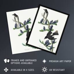"Artery8 Olive Sided Flycatcher Bird on Fir Tree Audubon Wall Art Print Poster in White - Size: W18"" x H24""" - thumbnail 2