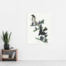 "Artery8 Olive Sided Flycatcher Bird on Fir Tree Audubon Wall Art Print Poster in White - Size: W18"" x H24""" - thumbnail 4