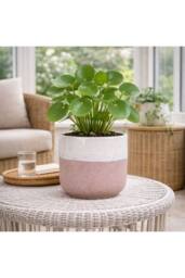 KDMD Hortus Pink & White Bordeaux Stoneware Pot 20cm H x 22cm Dia - thumbnail 4